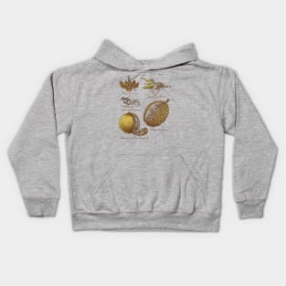 Clockwork Fruit Kids Hoodie